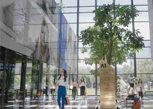 至成国际光电简介